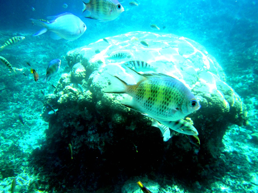 三亚马来西亚旅游,不要再去又挤又贵的三亚