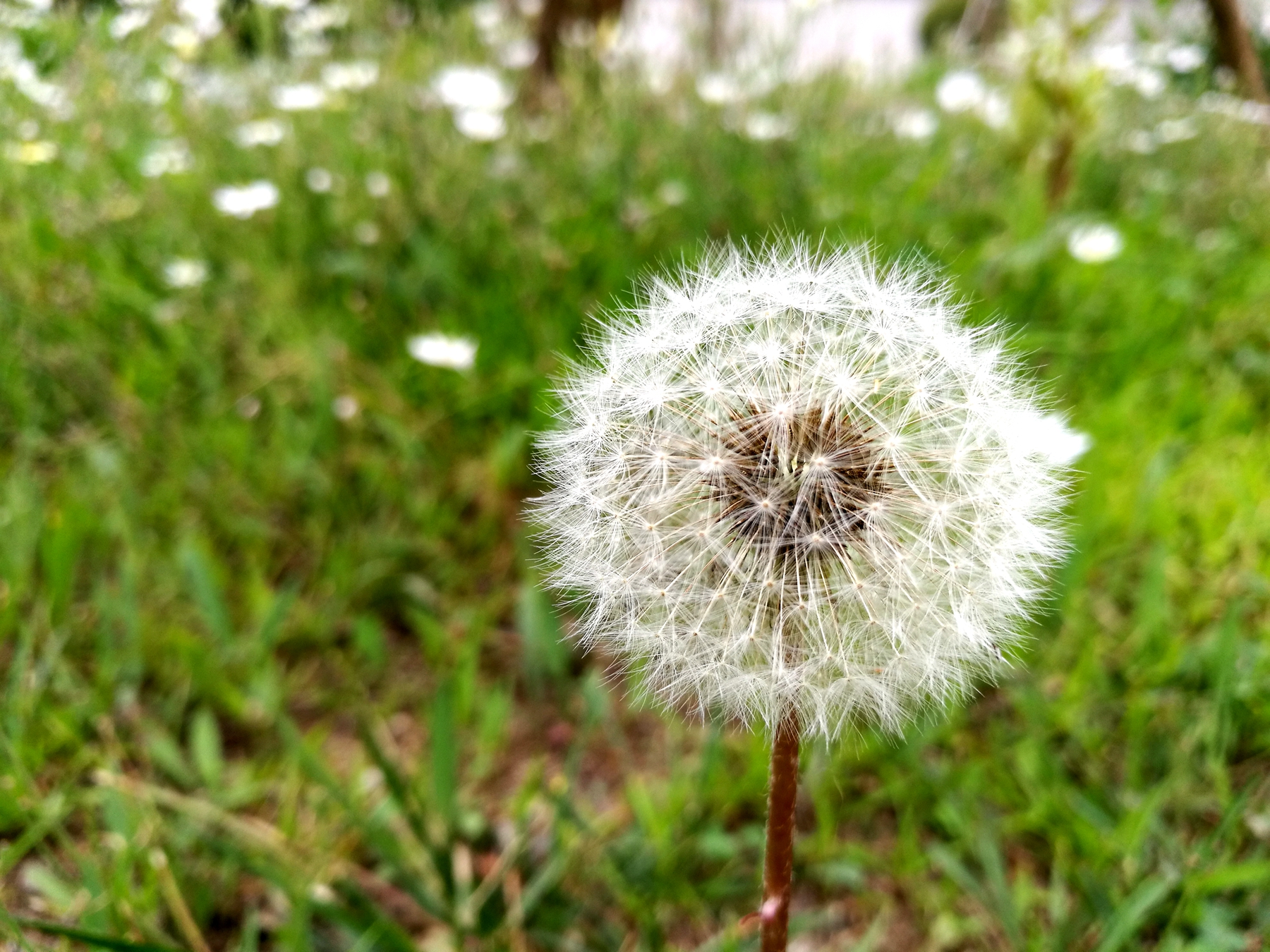 荣耀v8全面测评,荣耀v8前后对比