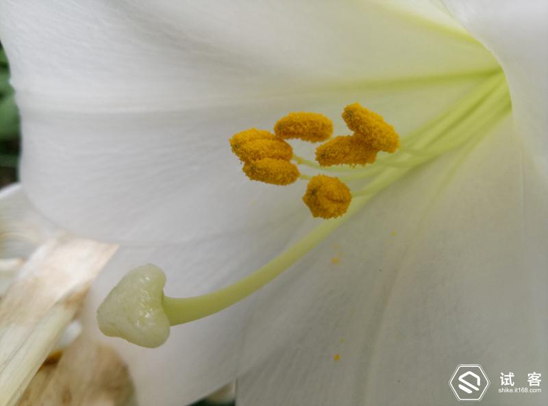 魅蓝3青年良品参数,性价比三款手机对比