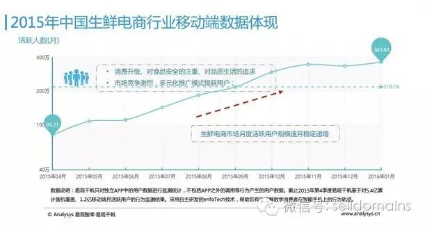 有什么好的域名可以赚钱,最值得投资的生鲜电商