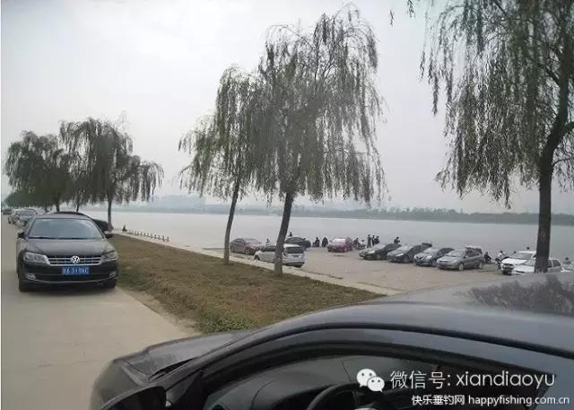 西安灞河钓鱼钓点,灞河路亚白条的钓点