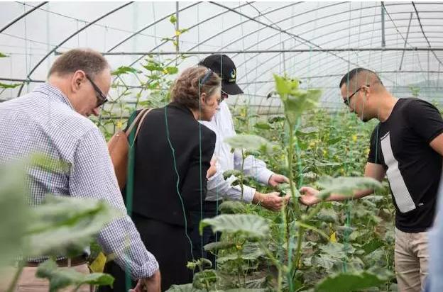 成都尚作有机融资,成都尚作生活馆