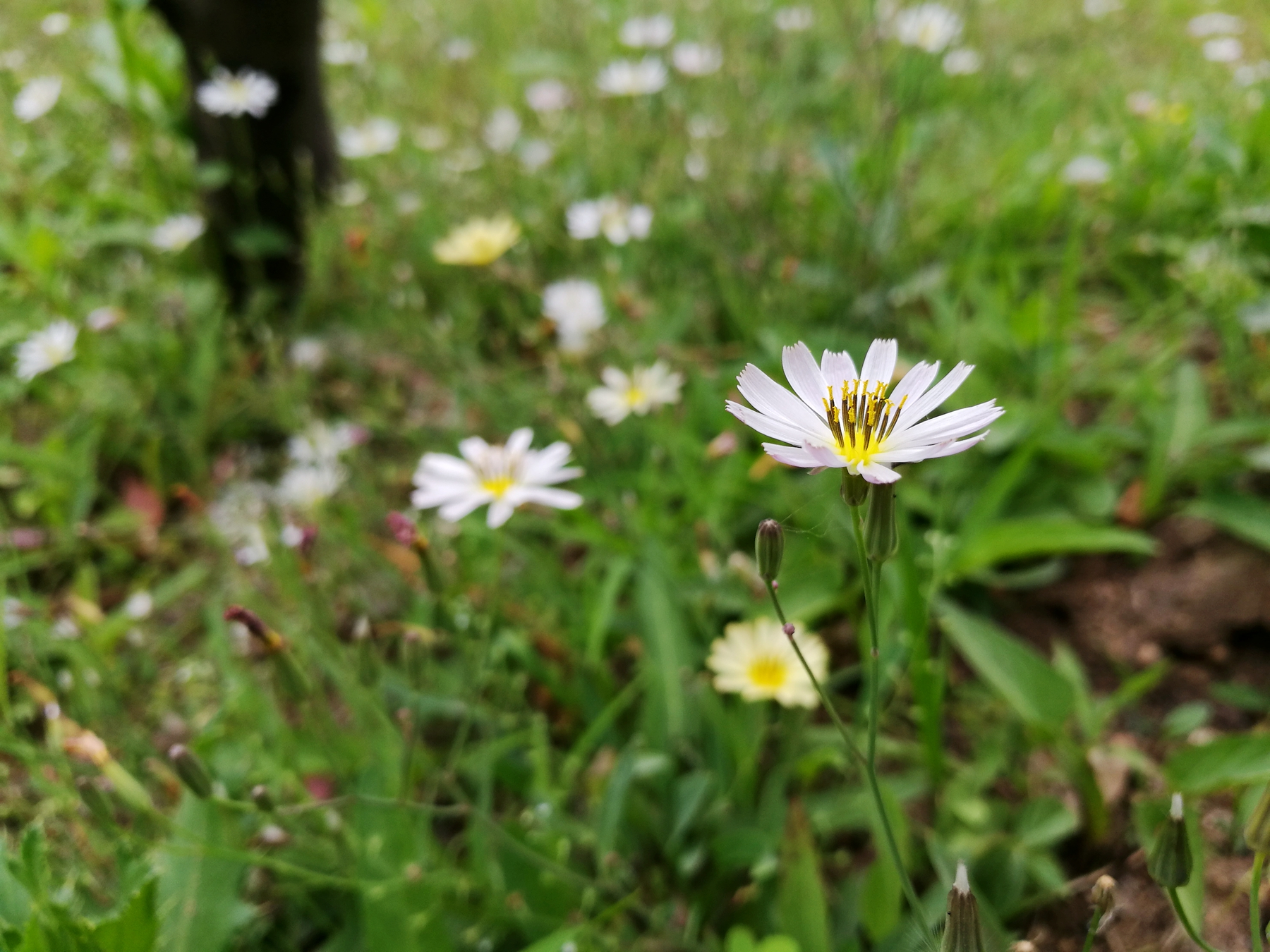 荣耀v8全面测评,荣耀v8前后对比
