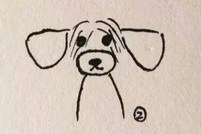 泰迪装修剪：耳朵放下来脸就变形怎么办？