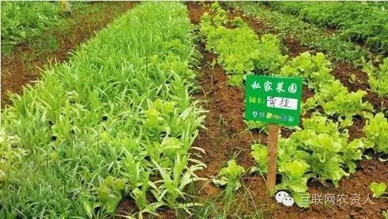 农业肥料私人订制模式,定制农业是啥