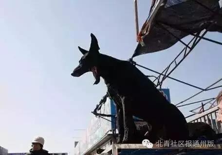 走进文化济宁,走进文化景区