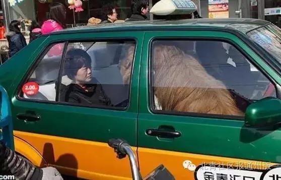 走进文化济宁,走进文化景区