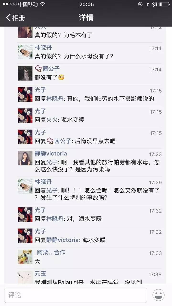 帕劳水母湖水母变少,帕劳水母湖的水母都去哪儿了