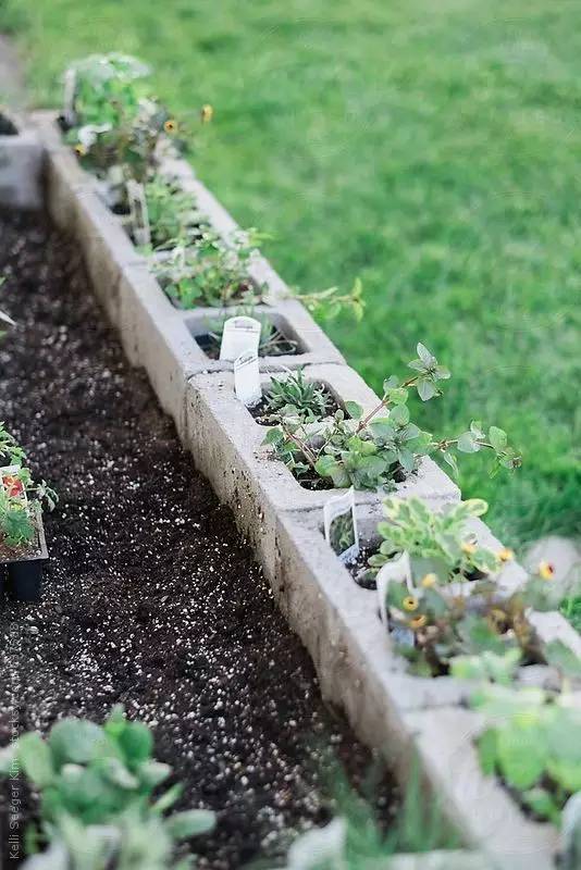 庭院绿植造型砖,水泥绿植造型设计