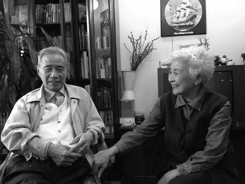 我们都是理想主义大葵花，生长在这个营养不良的末世纪|朴树