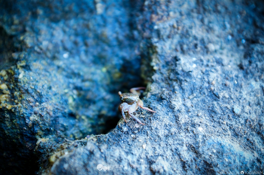度假胜地游玩攻略,川岛度假区攻略
