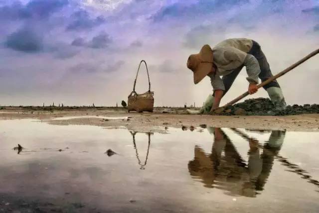 广东卫视出品的纪录片好评不断,再获三个国家级嘉奖!