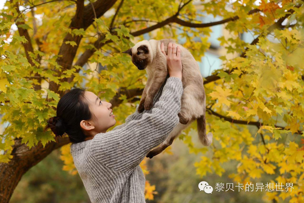 提升生活幸福感的十件小物,提升生活幸福感的小物件分享