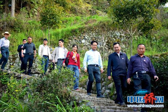 凝侨心聚侨力推动侨联事业新发展,侨联调研