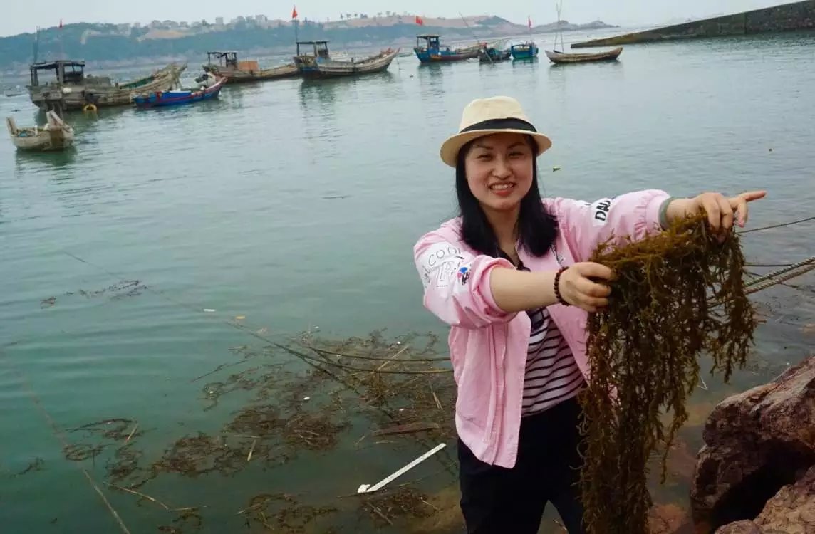 三八一日游温州最佳去处,温州三八游玩