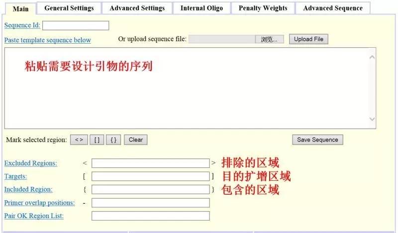 pcr引物设计软件优缺点,idt的在线引物设计工具