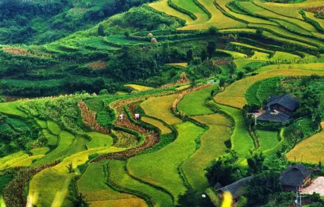 重庆最让人失望的核心区,重庆最尴尬的五个区