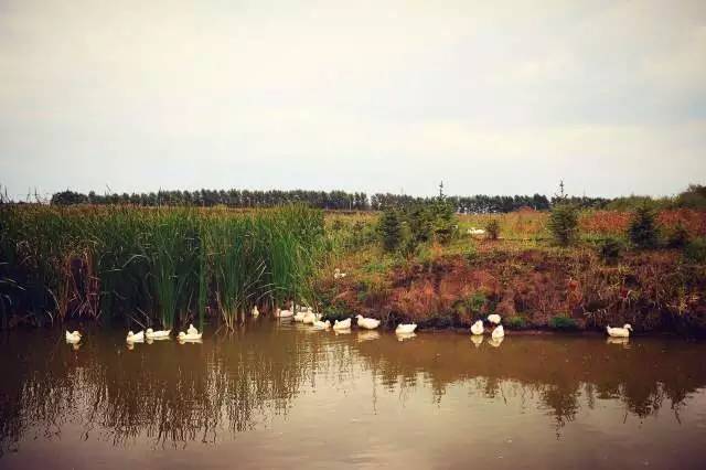 张姝:有一种水叫世罕泉|慧谷会客厅