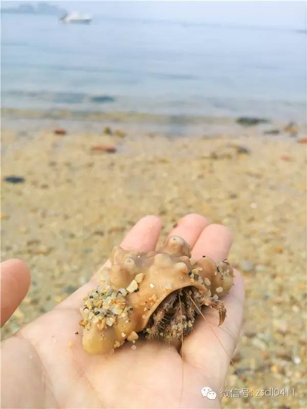 大连小众海边滨海路,大连最美海滨路在哪