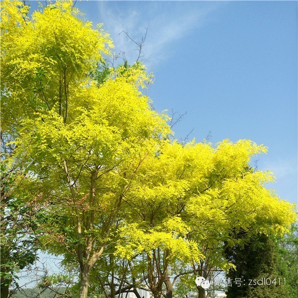 大连小众海边滨海路,大连最美海滨路在哪