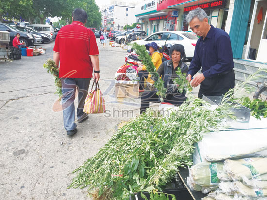 端午艾草热销,端午将至艾草热卖