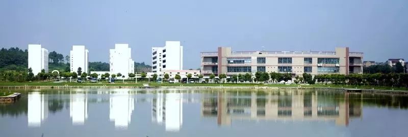 南京河西贵族学校,南京贵族学校