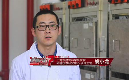 室内吸收甲醛效果最好的植物,吸收甲醛的最好植物有哪些