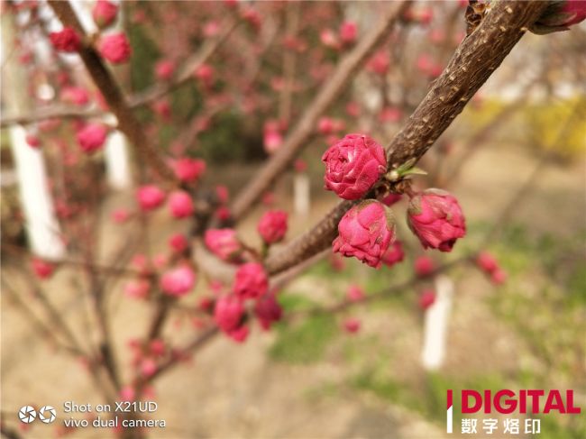 vivox21全面屏指纹版,vivox21屏幕指纹有什么缺点