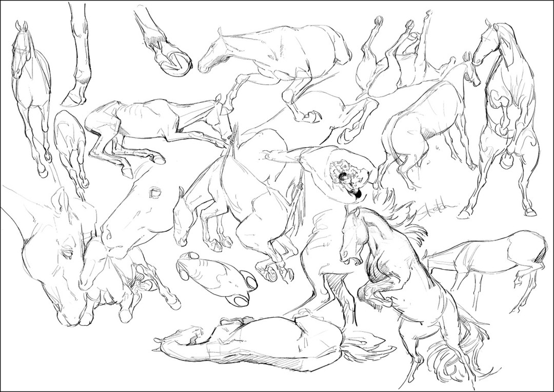 把设计角色当成真实存在的生物来构想-《黄金神威》动物设定者墨佳辽的设计理念