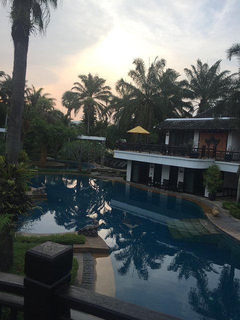 甯︾潃鐗涢瓟鐜嬬湅鏄熸槦,甯︾潃鐗涢瓟鐜嬪嚭鏉ョ湅涓婂笣