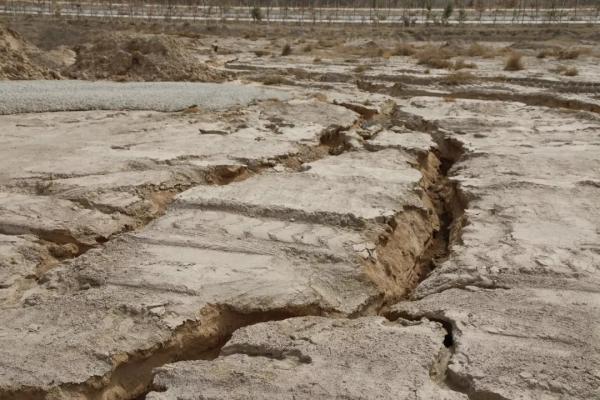 甘肃破坏植被案件处理得咋样了,皋兰推山造田最新消息