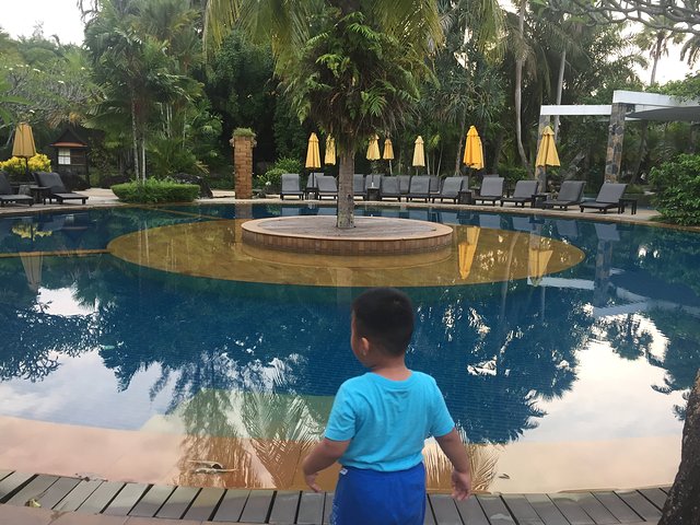 甯︾潃鐗涢瓟鐜嬬湅鏄熸槦,甯︾潃鐗涢瓟鐜嬪嚭鏉ョ湅涓婂笣