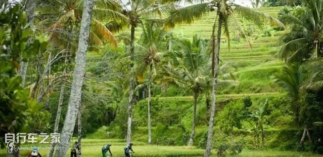 九个建议，让你提升春季骑行的享受！