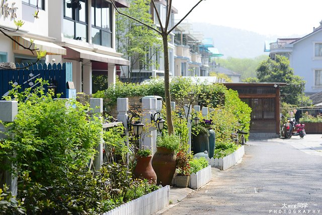 璇楁剰鏉窞瑗挎箹,璇楁剰姹熷崡姊﹂噷姘翠埂