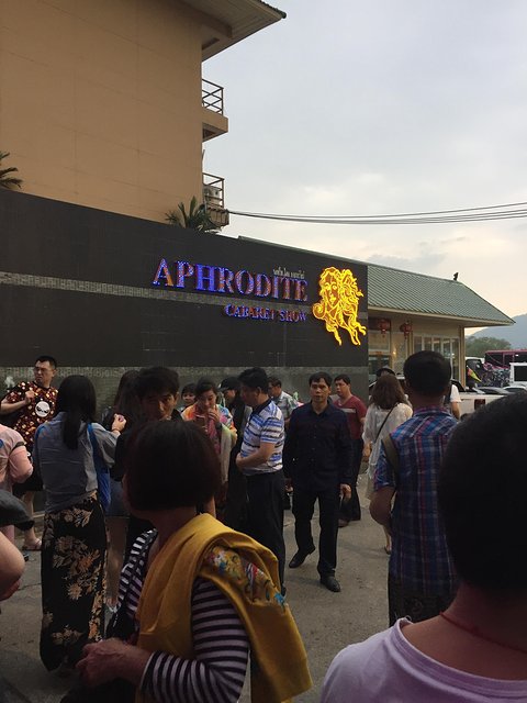 甯︾潃鐗涢瓟鐜嬬湅鏄熸槦,甯︾潃鐗涢瓟鐜嬪嚭鏉ョ湅涓婂笣