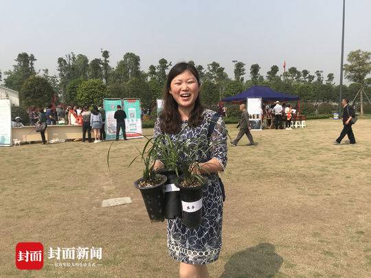 成都东郊外行内行一起“抢”兰花14盆花拍卖了1.6万元