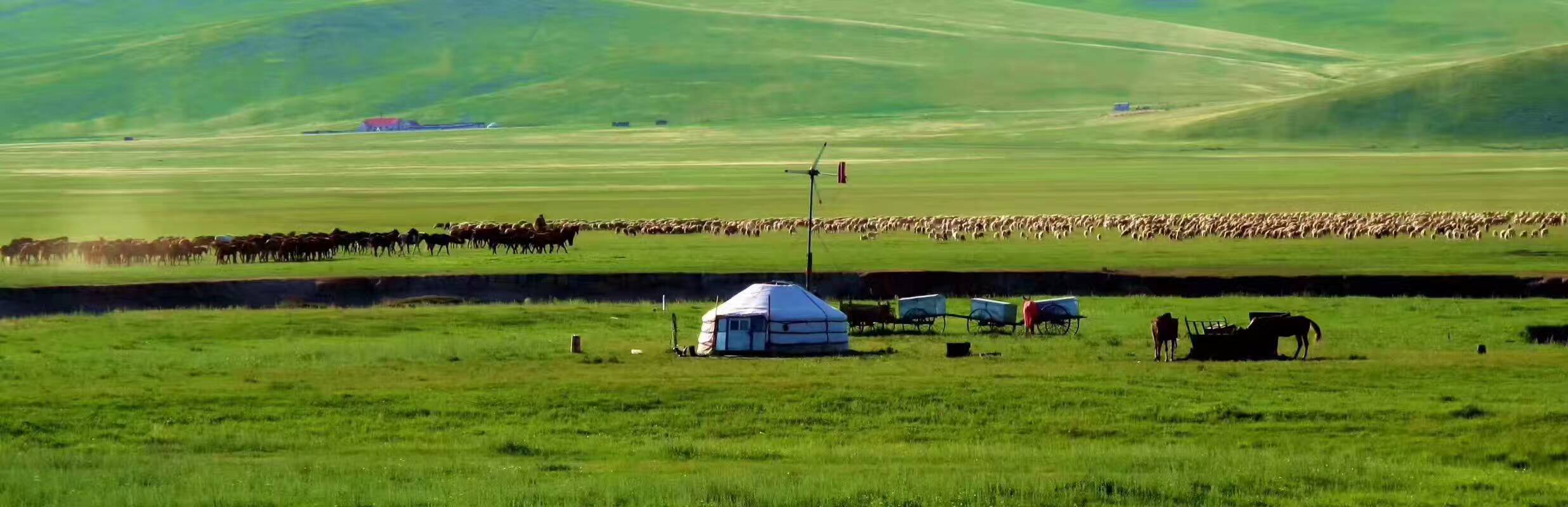 大武口呼伦贝尔风情园烤全羊团购,呼伦贝尔旅游必吃的十大特色美食