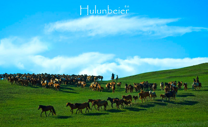 呼伦贝尔拍照攻略,呼伦贝尔美景拍照