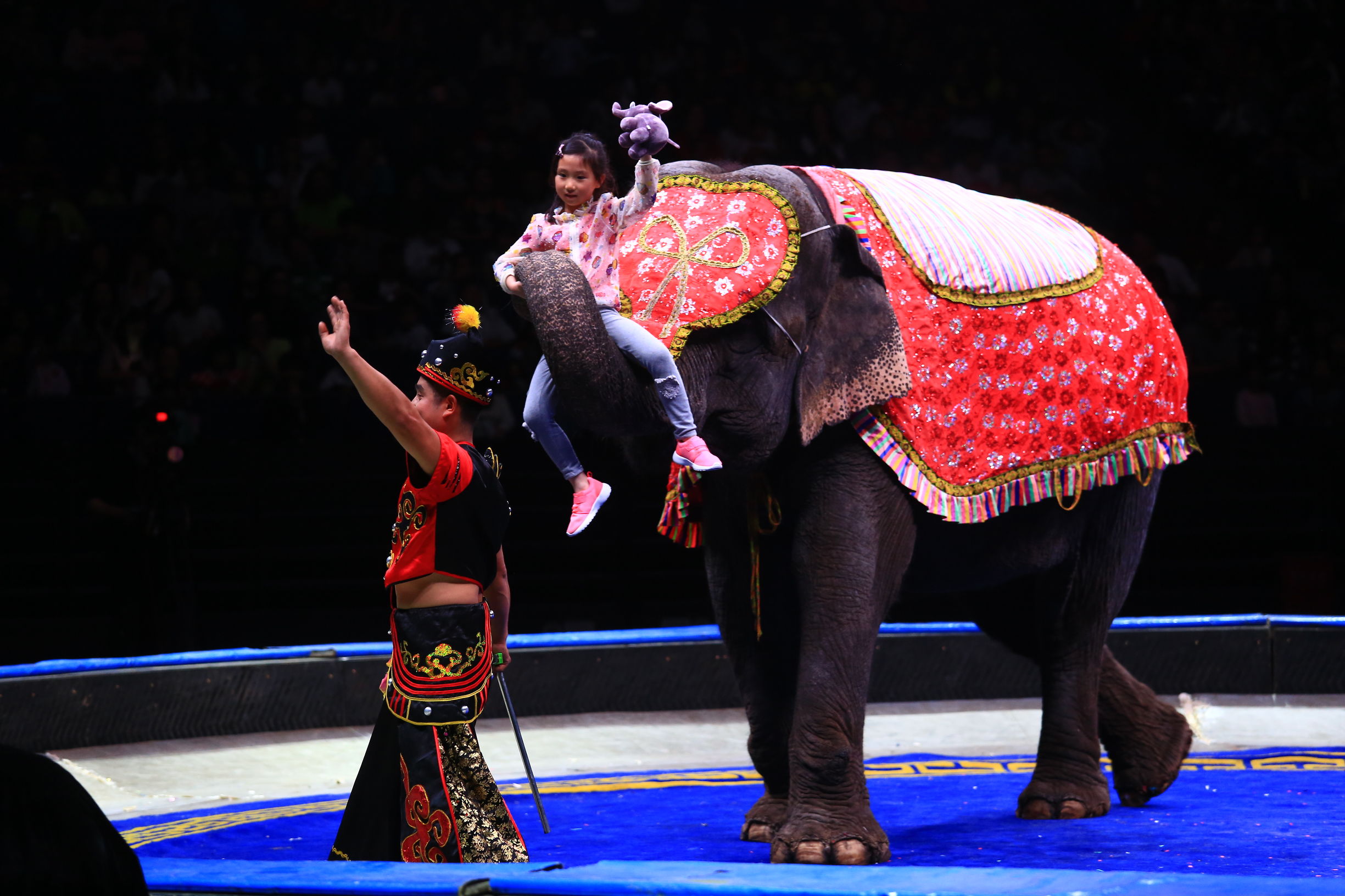 华艺杂技演出有限公司,华艺星空国际马戏