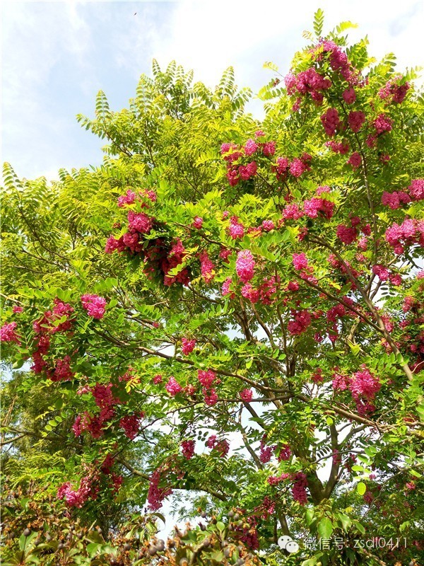 大连小众海边滨海路,大连最美海滨路在哪