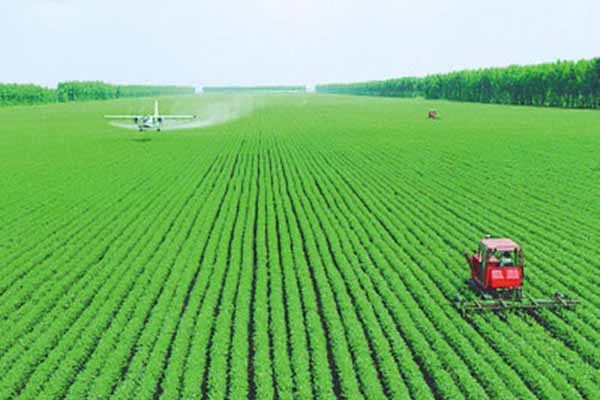 什么叫生态农业,生态农业其实离我们很远