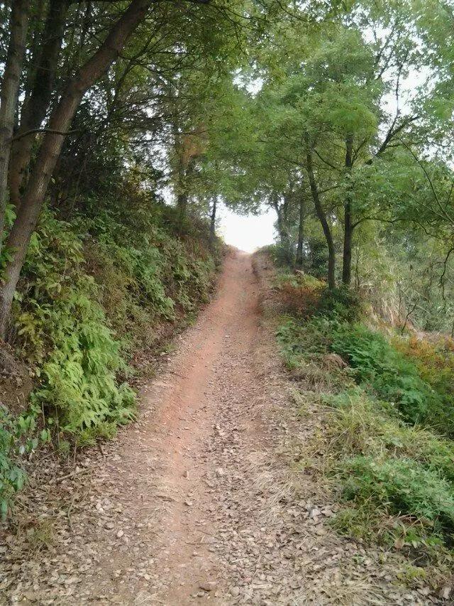 最美我家乡,最美我家乡原唱