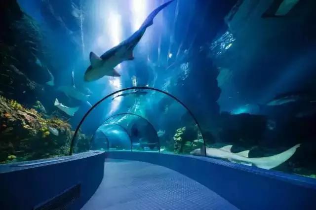 上海地铁沿线好玩的地方,上海18号线沿线景点