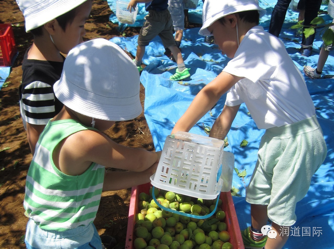 风之谷幼儿园教育特色,风之谷幼儿园青海