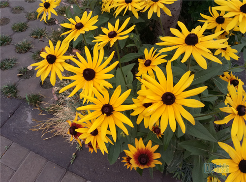 魅蓝3s是最好的一款吗,魅蓝3s全新