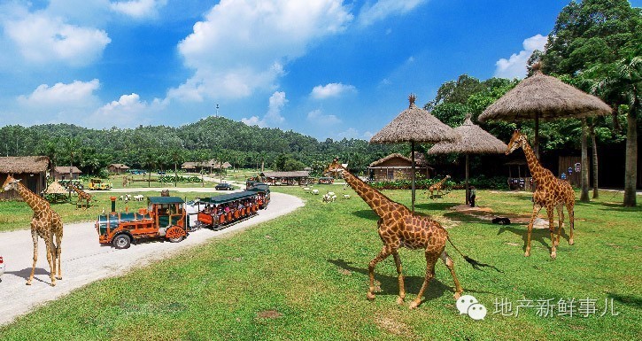 郑州即将开业的野生动物园,郑州长隆野生动物园