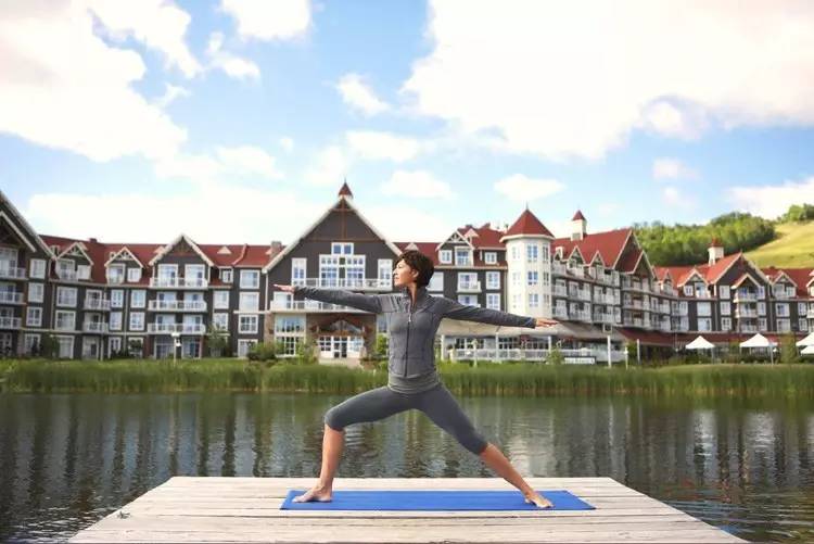 北美大陆最美一处森林风景,北美大陆的风景