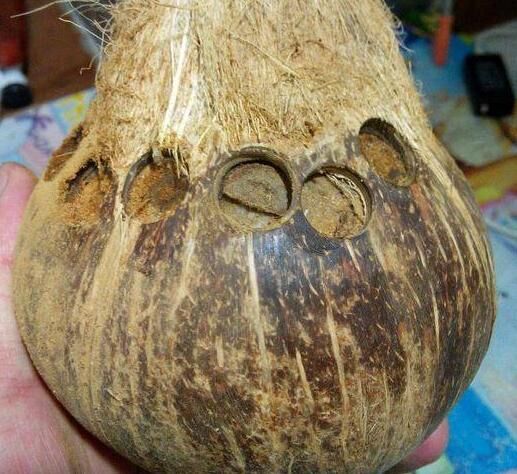 椰壳能做珠子么,椰壳能做佛珠吗