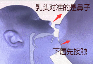 乳头疼千万别忍着，别忍着，别忍着！