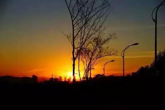 我在云南大学普普通通的一天,云南大学一年四季